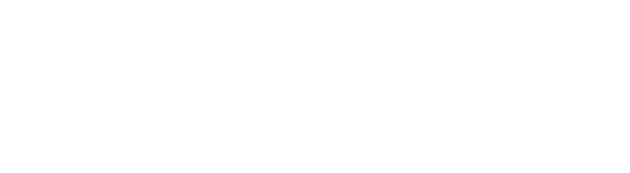 Alleus Health Analytics-white logo